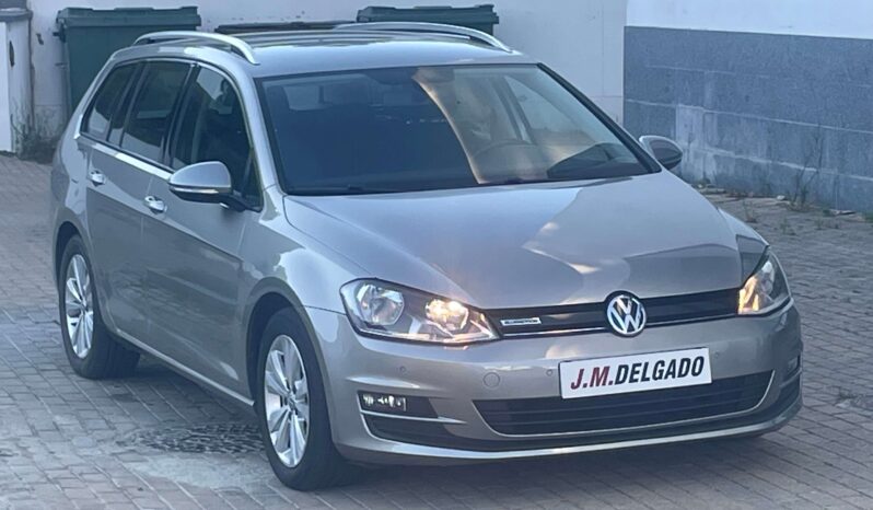 Volkswagen Golf Variant 1.6 Tdi  Bluemotion completo