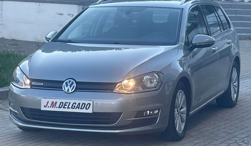 Volkswagen Golf Variant 1.6 Tdi  Bluemotion completo