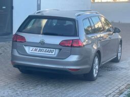 Volkswagen Golf Variant 1.6 Tdi  Bluemotion completo